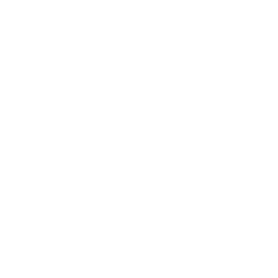 BAM BAM